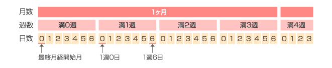 妊娠周期